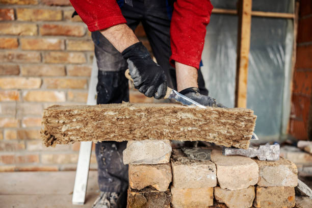 Best Insulation Contractor Near Me  in Medina, MN